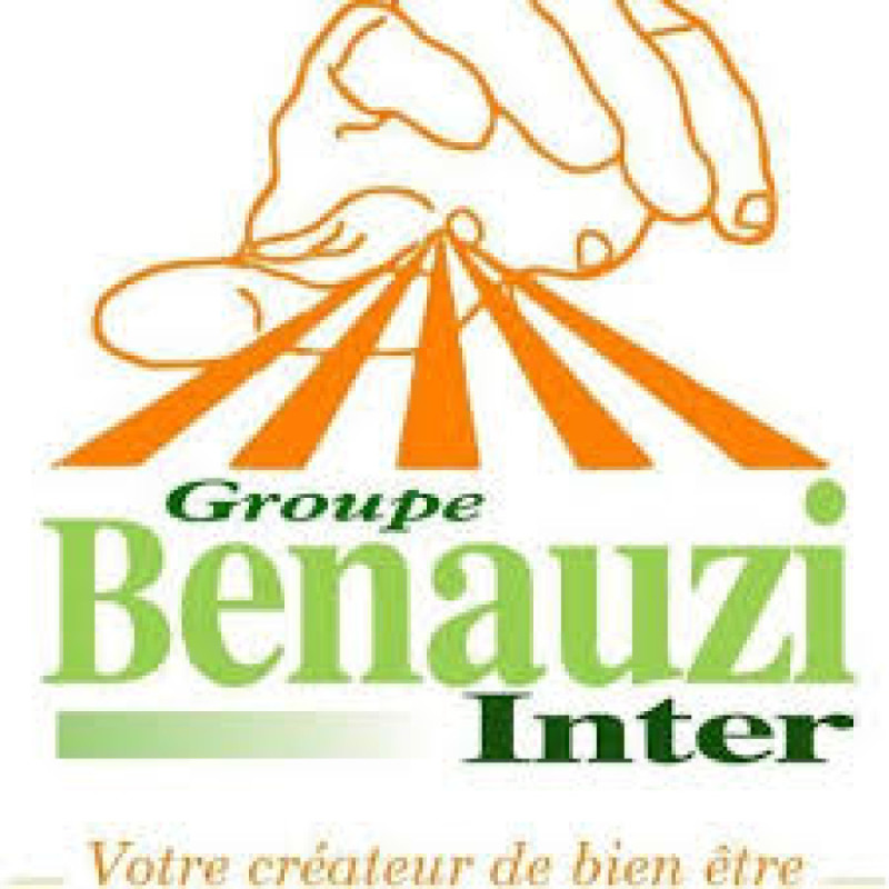 Groupe Benauzi Inter