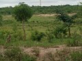 vente-terrains-1200m2-yamoussoukro-avec-acd-small-3