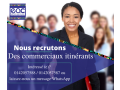 commerciaux-itinerants-small-0