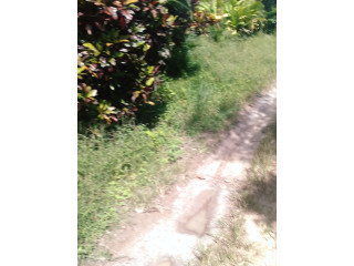 Terrain 30 hectares ACD à Ebimpé- Anyama