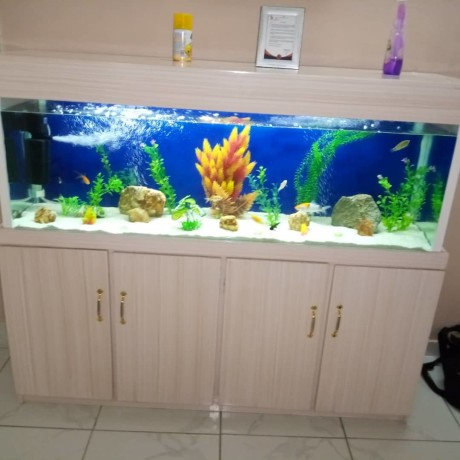 aquarium-big-2
