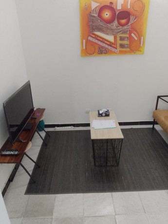 grand-studio-entierement-meuble-disponible-aux-2-plateaux-7e-tranche-big-3