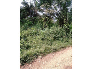 Location 01 hectare à Anyama