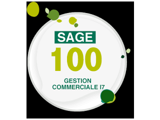 Formation Sage 100 gestion commerciale
