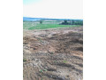 plusieurs-terrains-500-m2-a-bingerville-bordure-lagune-small-2