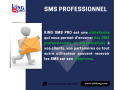 king-sms-pro-small-0