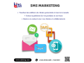 sms-professionnels-small-0