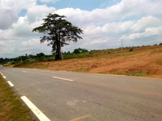 Terrain en vente vers la voie de l'aéroport de yamoussoukro