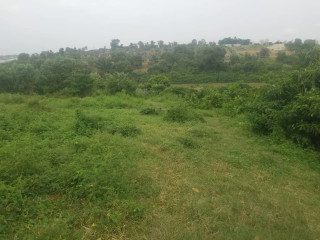 Vente de terrain Abatta