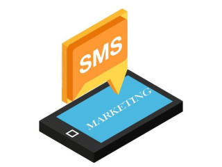 ENVOI DES SMS PROFESSIONNELS /SMS MARKETING EN MASSE