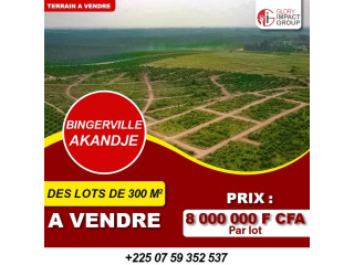 Vente de terrains à Bingerville Akandje