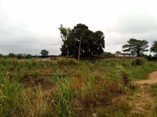 5 hectares en vente à Songon Mbraté