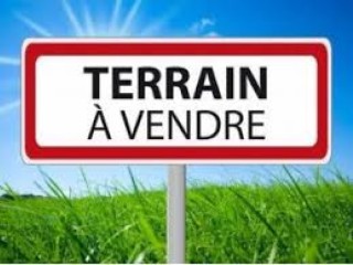 TERRAIN A VENTRE A JACQUEVILLE