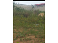 terrain-en-vente-dun-quartier-residentiel-a-yamoussoukro-small-5