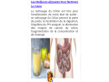 nutrition-humaine-small-5