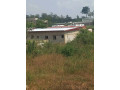 terrain-en-vente-a-yamoussoukro-small-0