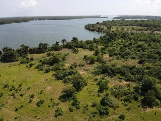 Baie des milliardaires bordure de la lagune vente terrain 20ha (ACD).