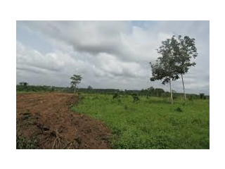 Vente de terrains à Yamoussoukro