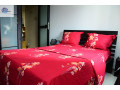 appartement-meuble-2-pieces-au-plateau-residence-eden-small-5