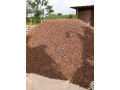 stock-de-cacao-certifie-disponible-small-1