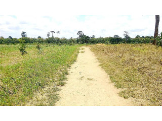 Terrain bien situé 3 hectares en vente à Yamoussoukro