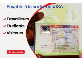 Assistance visa
