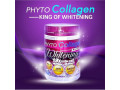 phytocollagen-small-1