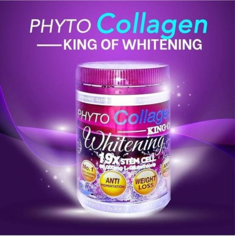 phytocollagen-big-1