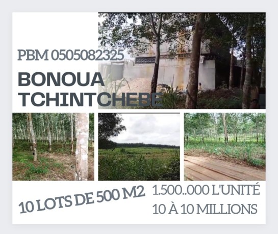 400-m2-1500000-10-a-10-millions-bonoua-tchintcheve-apres-olgane-big-0