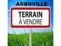 vente-de-terrain-a-agboville-small-0