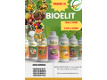 bioelit-small-0