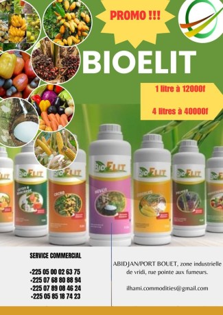 bioelit-big-0