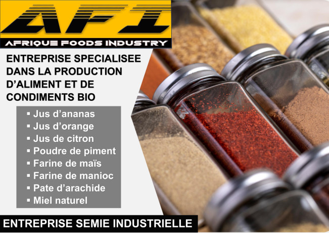 afrique-foods-industry-big-0