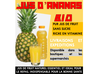 VENTE DE JUS D'ANANAS BIO