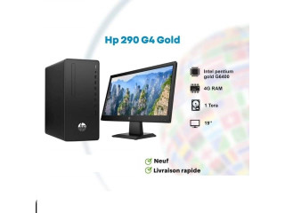 HP Desktop Pro 300 G6 Microtower PentG6400 4GB/1TB PC
