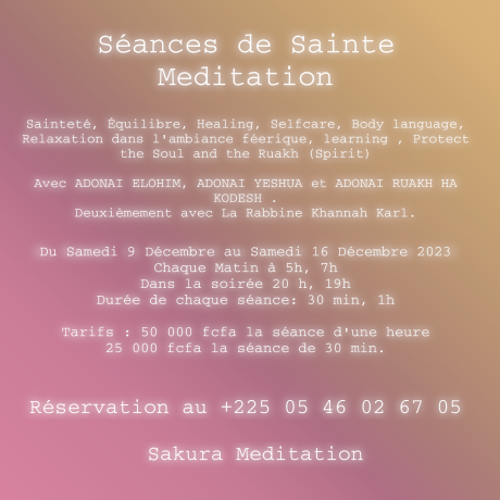 sakura-meditation-seance-de-sainte-meditation-big-0