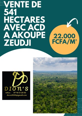 541-hectares-en-vente-a-akoupe-zeudji-big-0