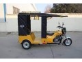 des-tricycles-disponibles-small-3