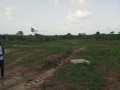 vente-de-terrain-dun-hectare-bien-place-a-yamoussoukro-avec-acd-small-1
