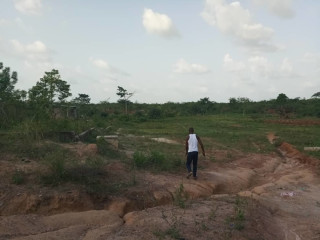 Vente de terrain d'un hectare bien placé à yamoussoukro avec ACD