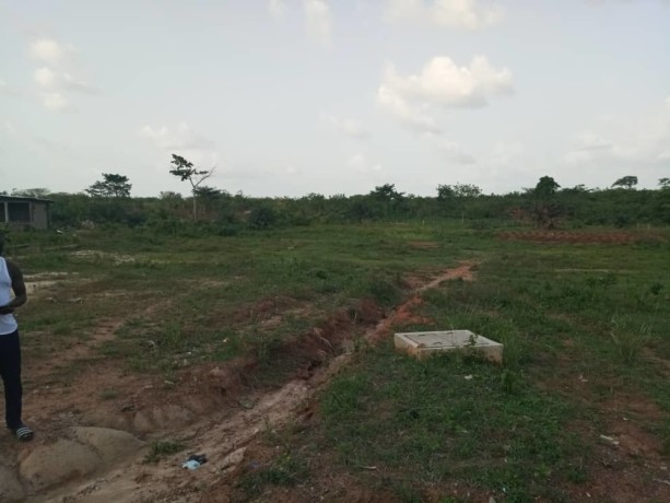 vente-de-terrain-dun-hectare-bien-place-a-yamoussoukro-avec-acd-big-1