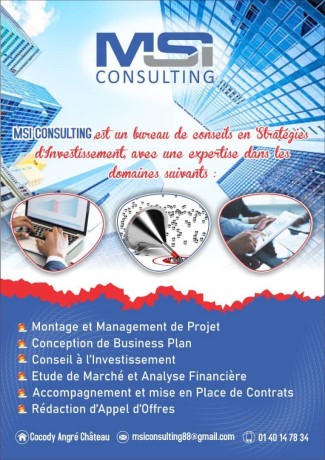 consultant-en-business-plan-big-0