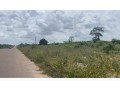 parcelle-de-12-hectares-en-vente-yamoussoukro-small-0