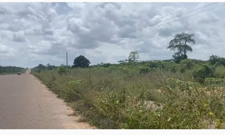 parcelle-de-12-hectares-en-vente-yamoussoukro-big-0