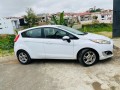 ford-fiesta-small-1