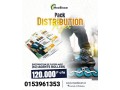 distribution-de-flyers-avec-agents-rollers-small-0