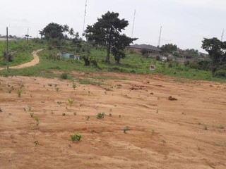 Autoroute axe Abidjan-YAMOUSSOUKRO en bordure de voie vente site de 100 hectares avec T.F