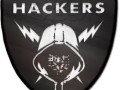 bourse-de-formation-en-hacking-professionnel-avance-et-securite-informatique-small-0