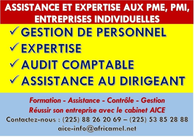 assistance-et-expertise-aux-pmi-pme-et-aux-entreprises-personnelles-big-0