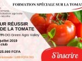 5-facteurs-pour-reussir-la-production-de-la-tomate-small-0